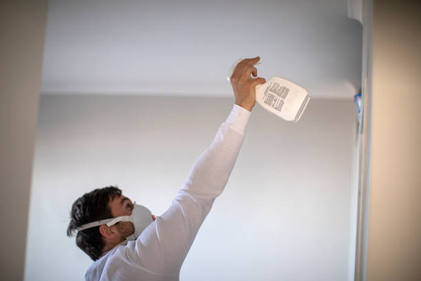 Best Attic Mold Removal  in Pine Grove, PA
