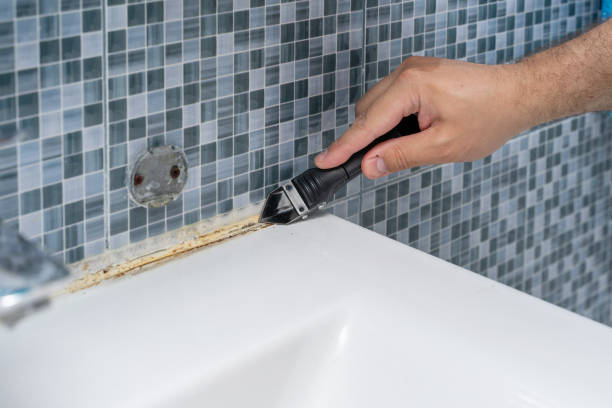 Best Fast Mold Removal  in Pine Grove, PA